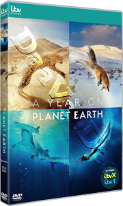 A Year on Planet Earth |Complete Series |   DVD